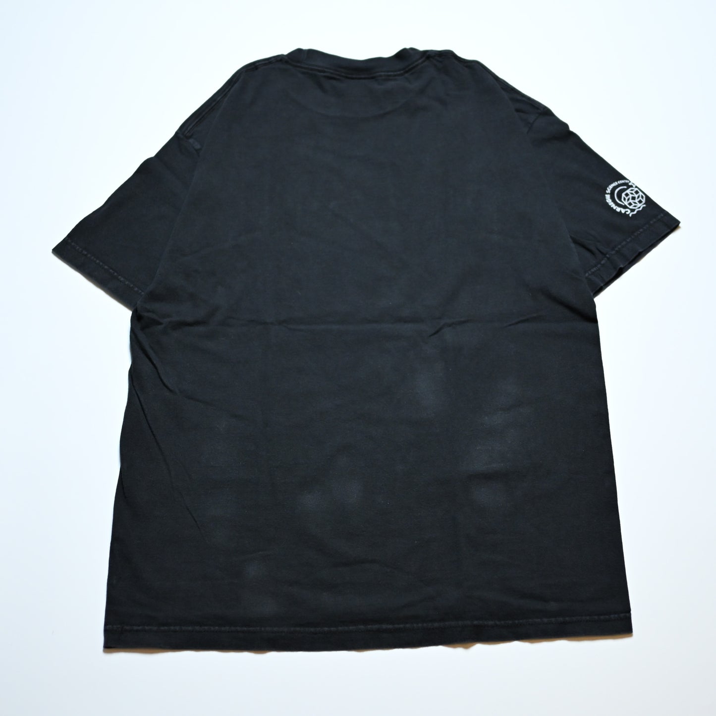 ALBERT EINSTEIN FACE TEE Cotton Expressions LARGE (b_1109)