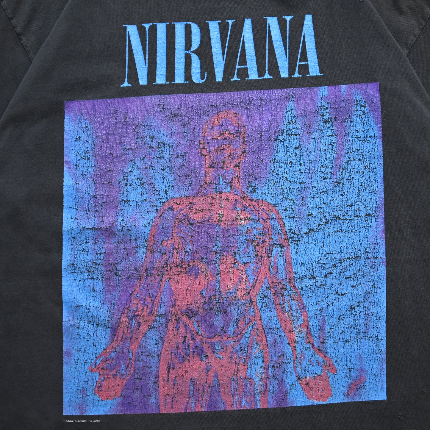 NIRVANA SLIVER giant BY TEE JAYS XL (g_1005)
