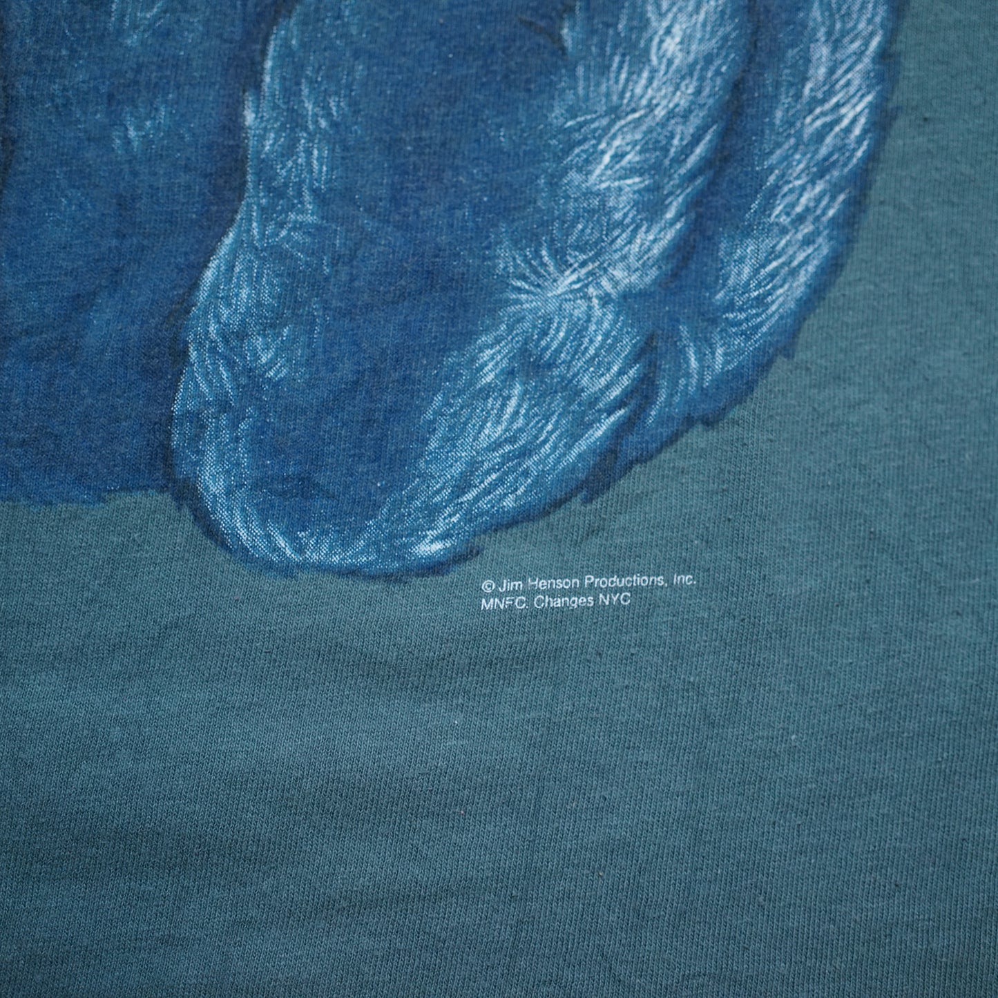 SESAME STREET COOKIE MONSTER CK PALODY CHANGES LARGE (g_1110)
