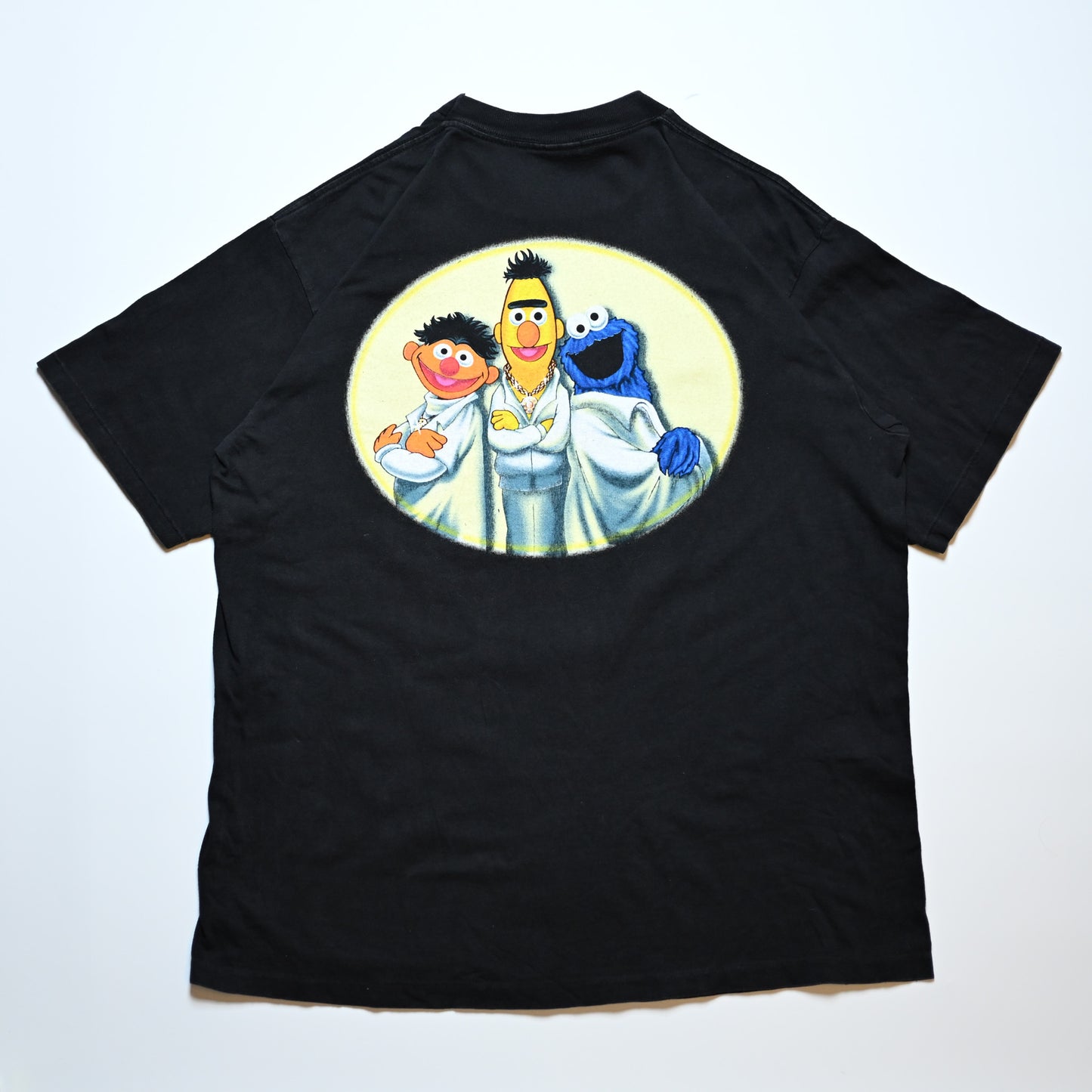 SESAME STREET FEVER (k_1013)