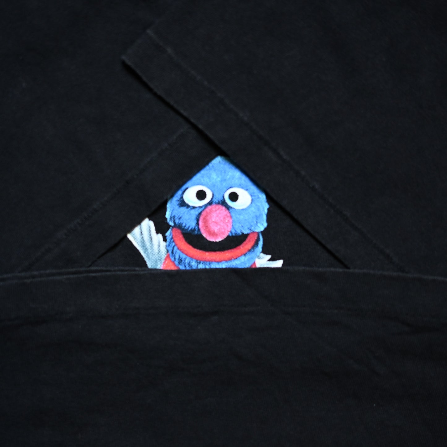 SESAME STREET FEVER (k_1013)