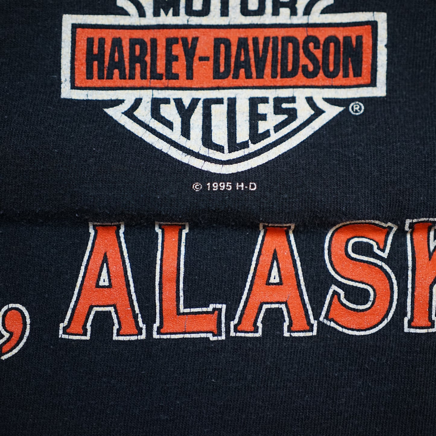 HARLEY DAVIDSON JUST RIDE TAKU JONEAU ALASKA CUT TAG L-XL (k_1132)