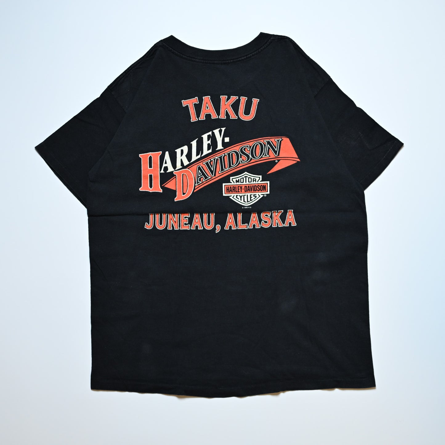 HARLEY DAVIDSON JUST RIDE TAKU JONEAU ALASKA CUT TAG L-XL (k_1132)