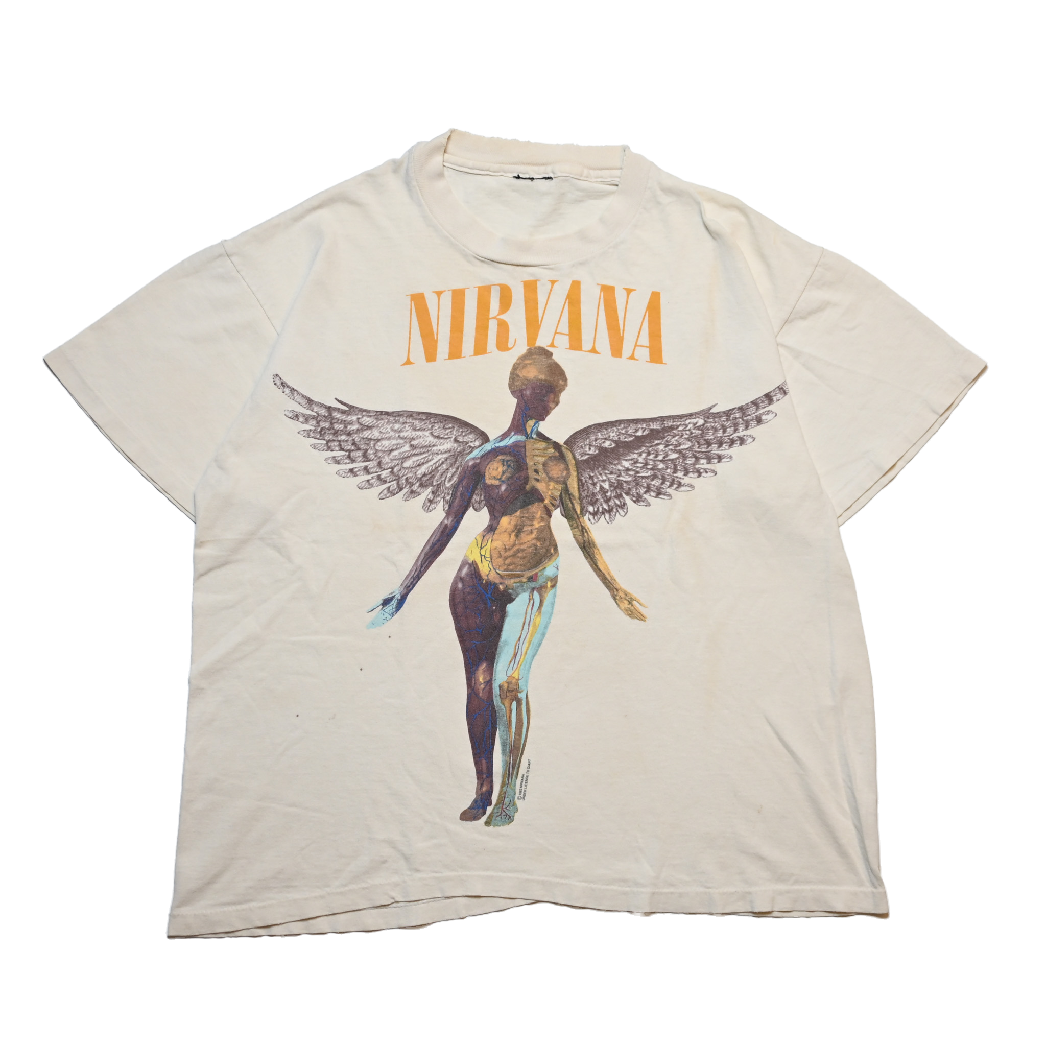 NIRVANA IN UTERO GIANT BY ANVIL L-XL BOX (oc_1201) – VINTAGE NIRVANA IN UTERO GIANT BY ANVIL L-XL BOX (oc_1201) – VINTAGE