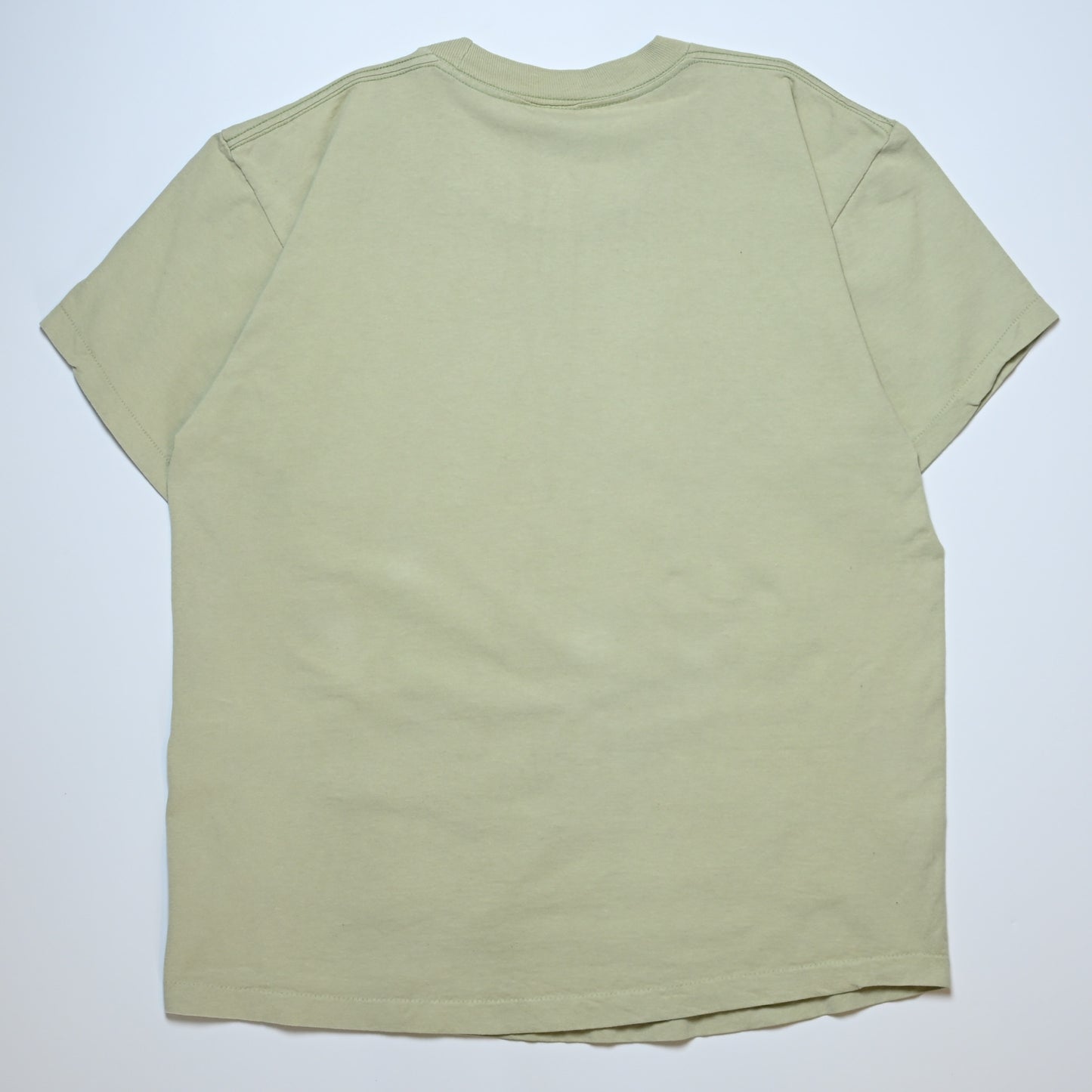 Nirvana Incesticide SAGE GREEN anvilLARGE (g_011)