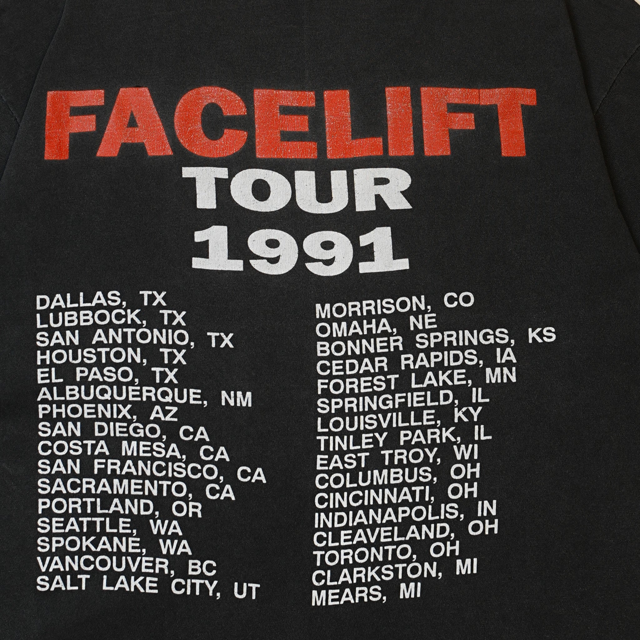 ALICE IN CHAINS FACELIFT TOUR HANES LARGE (o_60121) – VINTAGE BROS