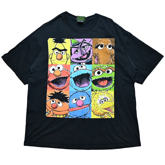 SESAME STREET ALL XL (k_1023)