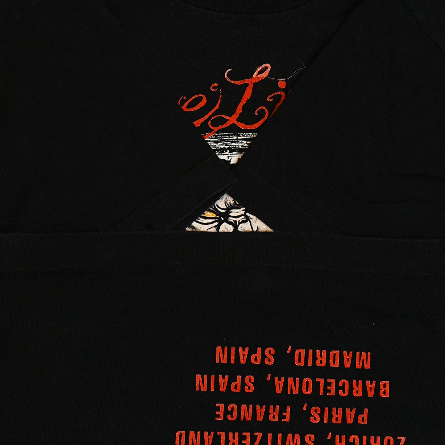 AERO SMITH NINE LIVES MURINA LARGE (n_0604)