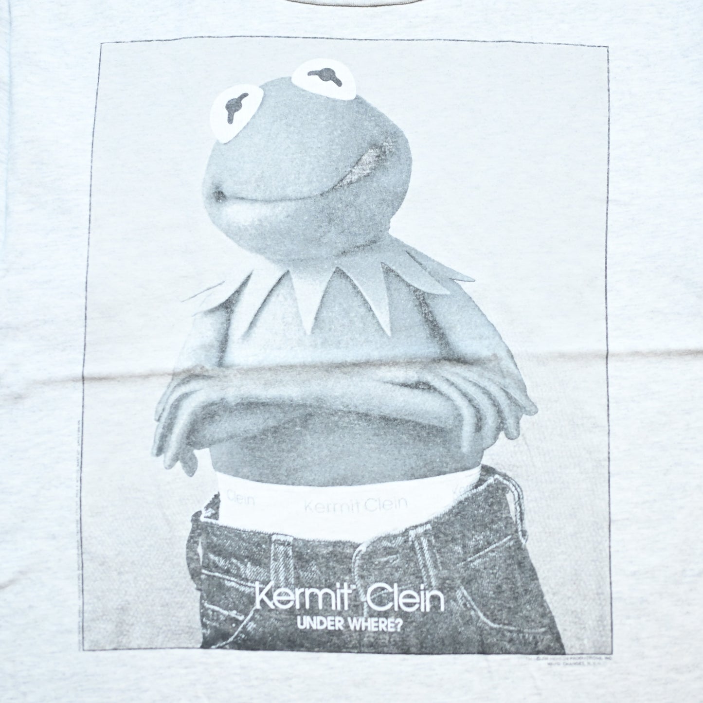 KERMIT CLEIN CALVIN KLEIN PARODY GRAY CHANGES LARGE (n_1106)