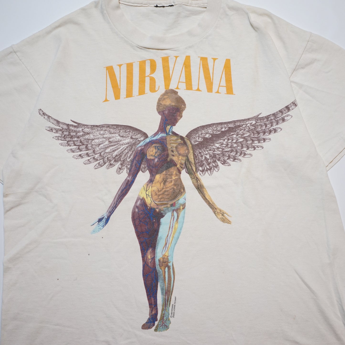 NIRVANA IN UTERO GIANT BY ANVIL L-XL BOX (oc_1201)