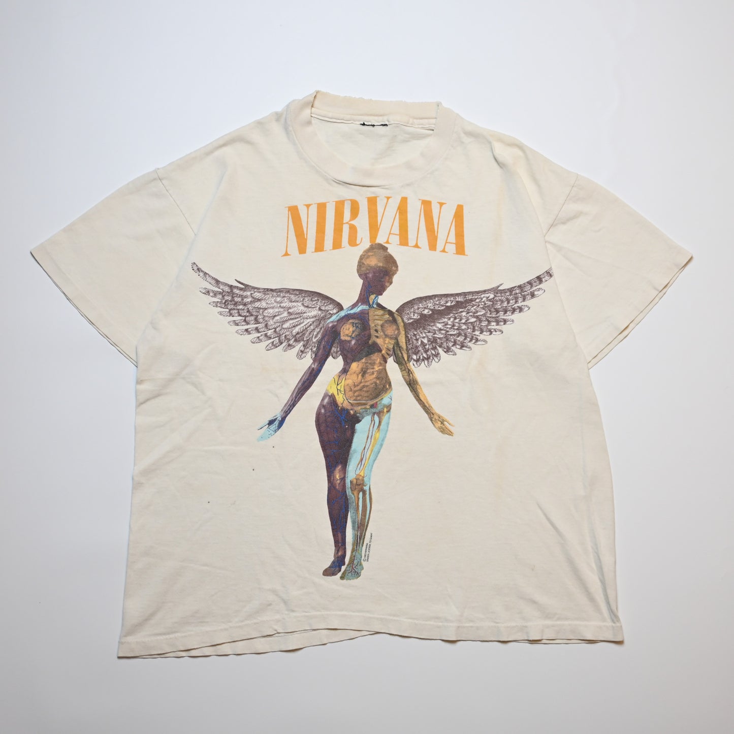 NIRVANA IN UTERO GIANT BY ANVIL L-XL BOX (oc_1201)