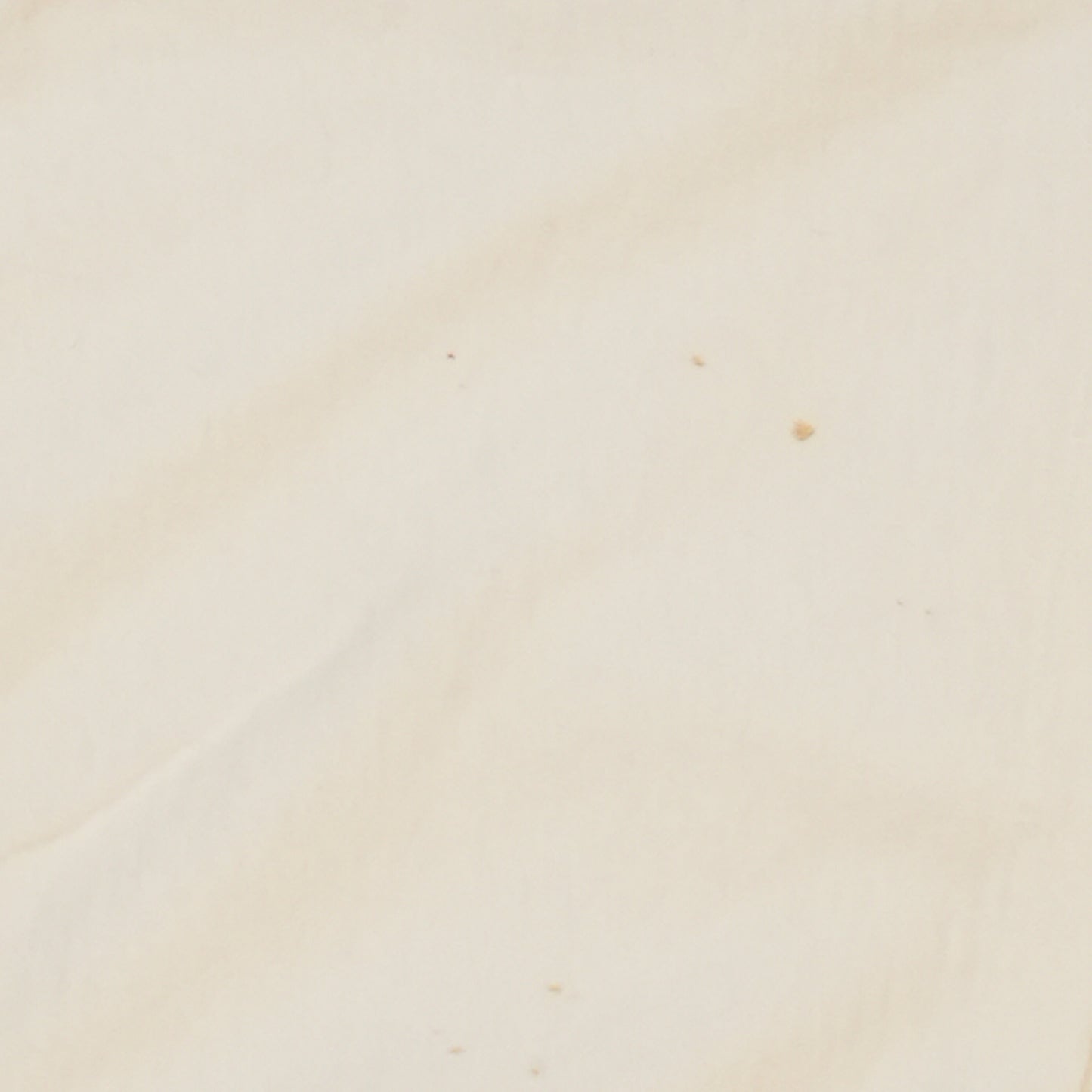 MADONNA BLOND AMBITION WORLD TOUR 1990 WHITE (p_0602)